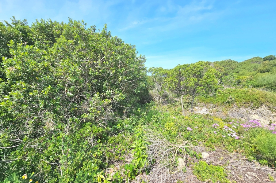 0 Bedroom Property for Sale in Paradise Beach Eastern Cape